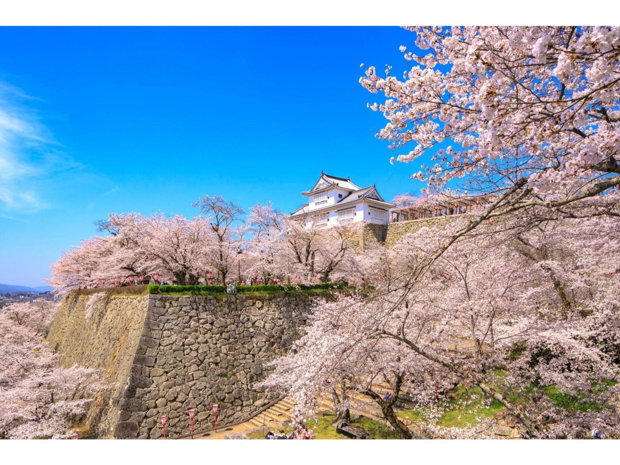 Tsuyama Kakuzan Hotel - Vacation Stay 75701V Kültér fotó